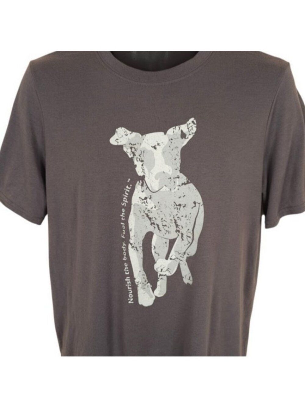 Pit Bull T Shirt Mens Size Medium Gray Nutrience Nourish The Body Fuel Spirit